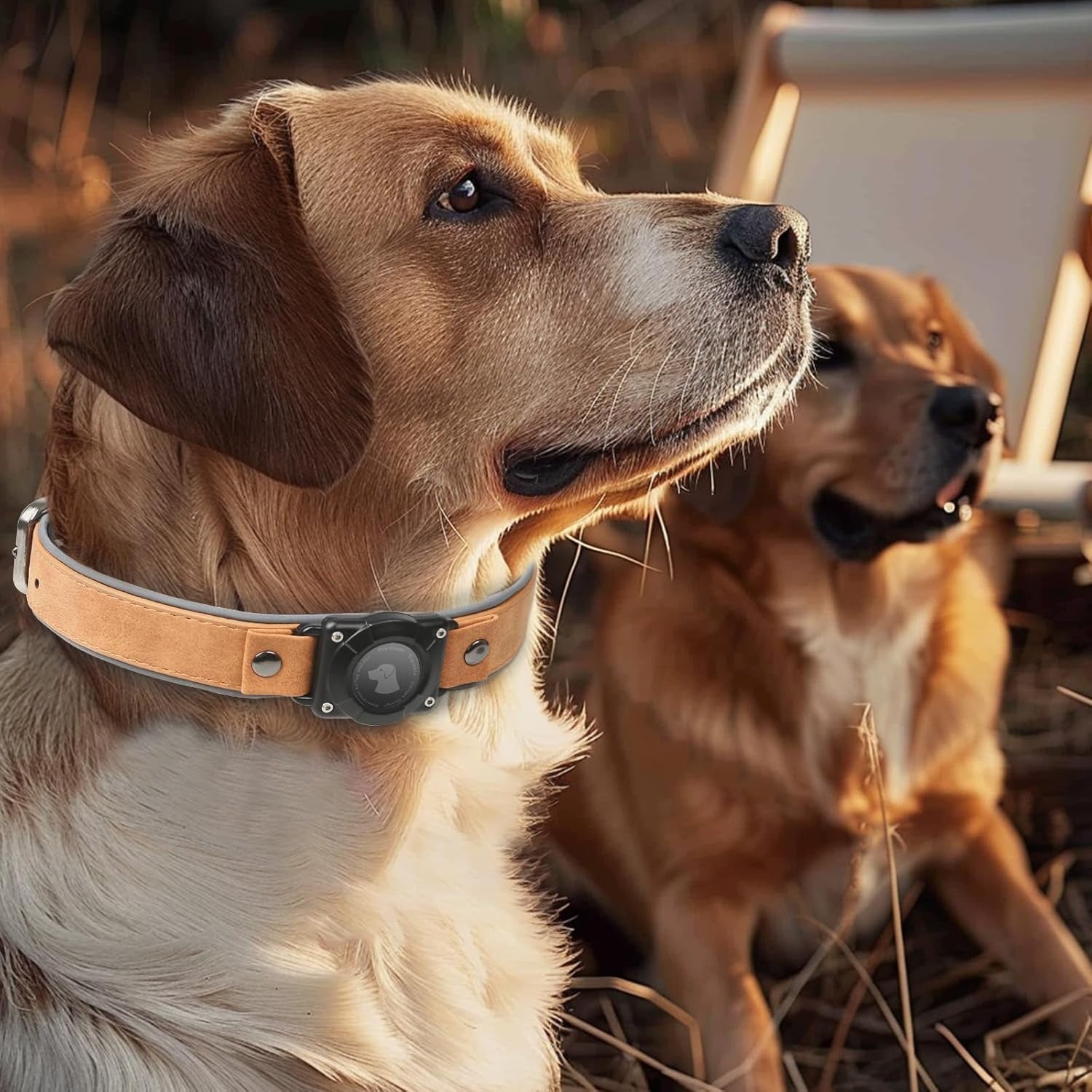 Airtag - Collier AirTag en cuire Pour Chien (Support AirTag)